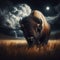 American bison stands on plains with brewing storm behind