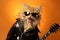 American Bobtail Cat Dressed As A Rockstar On