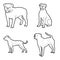 American Bulldog Animal Vector Illustration Hand Drawn Cartoon Art