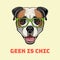 American Bulldog geek. Smart glasses. Dog nerd portrait. Vector.