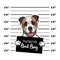 American Bulldog prisoner. Arrest photo. Police placard, Police mugshot, lineup. Police department banner. Dog criminal. Vector.