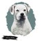 American Bulldog puppy digital art illustration isolated on white background. American Bulldog, Standard and Classic