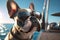 American bulldog is resting on a yacht in sunglasses. Photorealistic image created by artificial intelligence