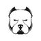 American bully dog logo.