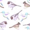 American bushtits, hummingbirds and tufted titmouse seamless watercolor background