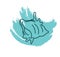 American carrier snail seashell, icon icon