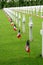 American Cemetery in France