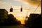 American city street crossing at sunset with red traffic light in los angeles