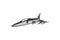 American cold war fighter plane vector illustration.