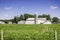 American countryside farm with blue sky