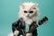 American Curl Cat Dressed As A Rockstar On Mint Color Background