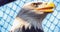 American eagle face