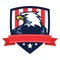 American Eagle Logo Mascot Vector Icon with Flag of America Background Independence Day Template Design