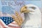 American eagle passport flag travel patriotism people