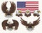 American eagle set logotype colorful