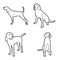 American English Coonhound Animal Vector Illustration Hand Drawn Cartoon Art