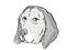 American English Coonhound Dog Breed Cartoon Retro Drawing