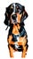 American English Coonhound illustration Artificial Intelligence artwork generated