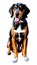 American English Coonhound illustration Artificial Intelligence artwork generated