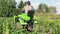 An American farmer rides a green tractor and inspects his fertile land. Agriculture concept.