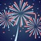 American fireworks night. Happy 4th July. Vector illustration, flat design