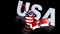 American flag 3D video Robot