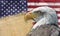 American flag and bald eagle