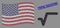 American Flag Collage of Sqrt and Textured Total Solution Seal