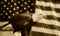 American Flag Eagle Sepia Background