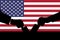 American flag and election vote silhouette composition. Describe the 2024 US election situation and results.
