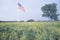 American Flag in Field of Wildflowers, St. Louis, Missouri