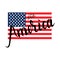 American flag with inscription brush Hello America