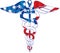 American flag inside the medical symbol