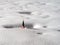 American flag marking a gravesite in the snow.