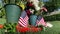 American flag at Military Memorial Cemetery