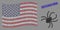American Flag Mosaic of Spider and Textured Botulinum Toxin Seal