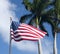 American flag, palm trees