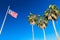 American flag and palm trees at venice beach