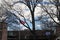 An American flag surrounded by bare winter trees and red brick buildings with blue sky and clouds in downtown Memphis