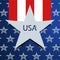 American flag, vector graphics, cover, banner, brochure. USA.