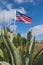 American flag waving in the wind against a background of wildlife, cacti and agave in Texas