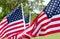 American flags blowing in the breeze in USA