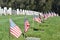 American Flags At Gravesite On Memorial Day