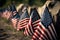 American flags in ground celebrating or honoring veterans, Generative Ai