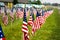 American Flags lined up in rows