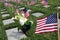 American Flags at National Cemetery