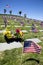 American Flags at National Cemetery