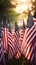 American flags set up for happy Veterans Day, Memorial Day, and Independence Day. Afternoon sun