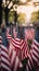 American flags set up for happy Veterans Day, Memorial Day, and Independence Day. Afternoon sun