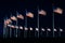 American flags at the Washington Monument at night, in Washington, DC